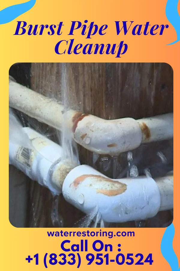 Burst Pipe Water Cleanup in Kansas City, KS